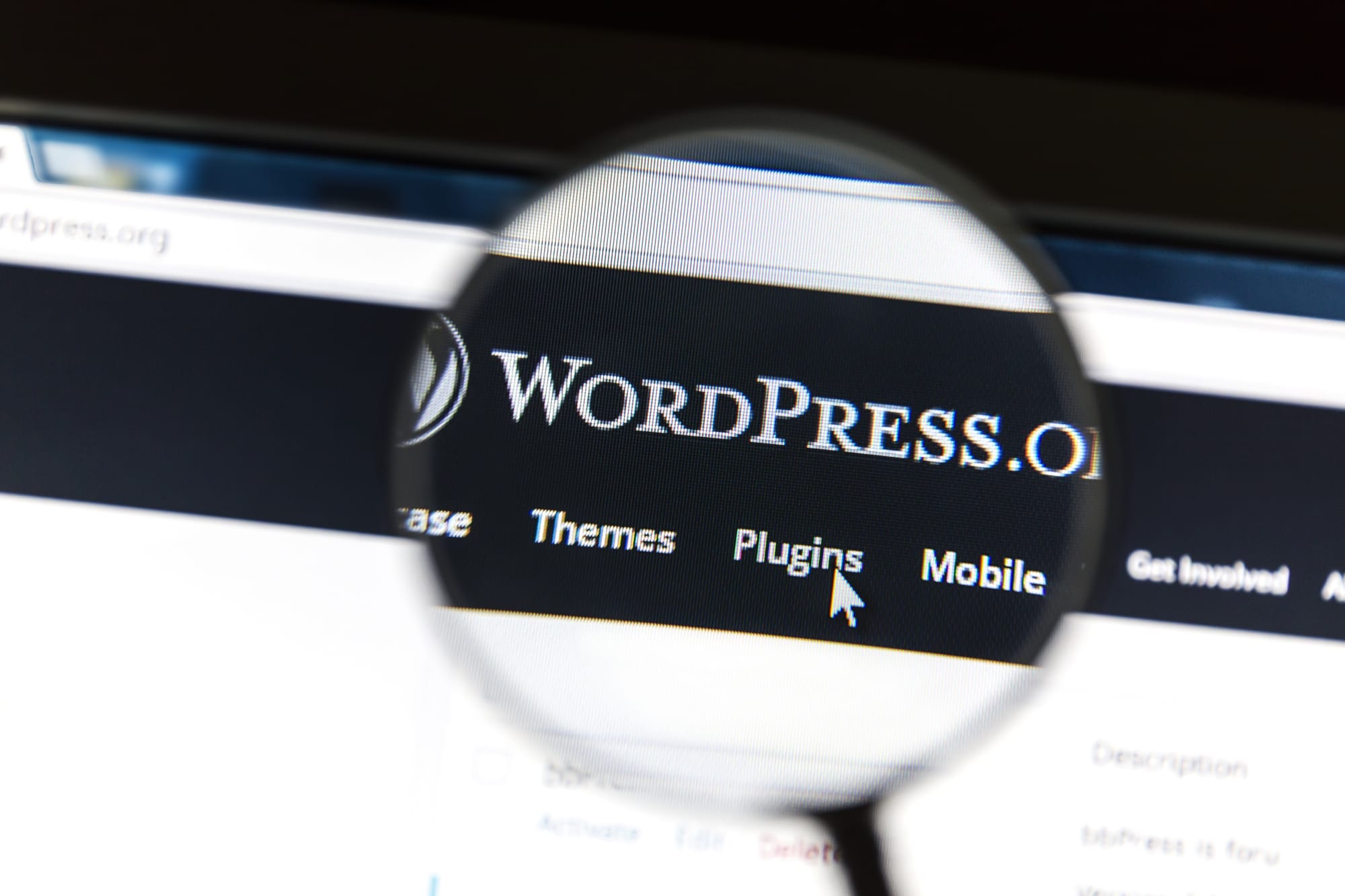 A magnifying glass focuses on the "Plugins" section of the WordPress.org website interface.